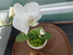 -南堂馆·新川菜(春熙路店)