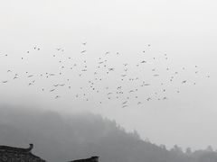 -呈坎景区