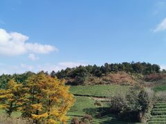 -丹山赤水风景名胜区