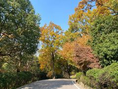 -南京市江宁方山