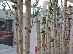 -极简口腔(总院)