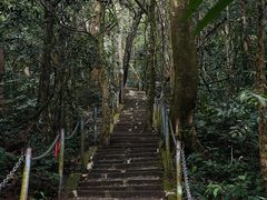 -七仙岭温泉国家森林公园