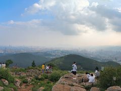 -长虫山生态公园风景林