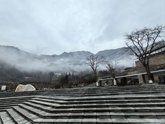 -卧龙中华大熊猫苑神树坪基地