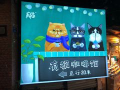 -有猫主题·治愈系猫咖(曾厝垵店)