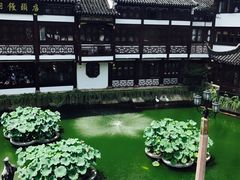 -豫园湖心亭茶楼