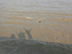 android_upload_pic-平湖九龙山旅游度假区