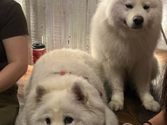 -瑞虹新天地月亮湾