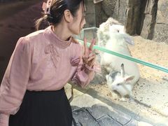 -正佳雨林生态植物园