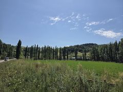 -新疆那拉提国家旅游度假区