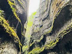 -梭布垭石林景区