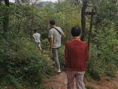 -青龙山国家森林公园
