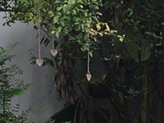 -苏州文旅花间堂·探花府酒店