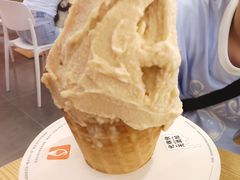 -野人先生Gelato(上海长宁龙之梦店)