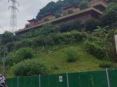 -南山植物园