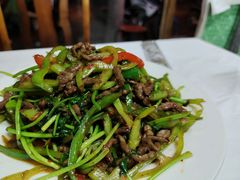 香菜炒牛肉丝-新新湘菜馆(新中街二条店)
