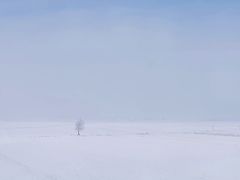 -雪谷