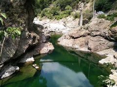 -黑河国家森林公园
