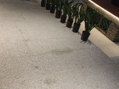 -中山市绿华园食府