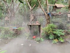 -广州长隆野生动物世界