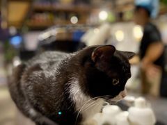 -么么咖啡(燕郊店)