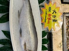 -万龙洲海鲜(广渠门店)