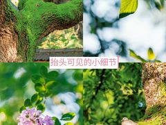 -颐和路民国时期公馆-风貌区