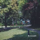 在开心农场能干啥