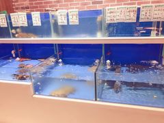 -姜君·千岛湖鱼头馆(浦东大道店)