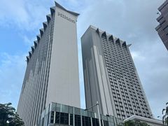 -新加坡乌节希尔顿酒店 (SG Clean)