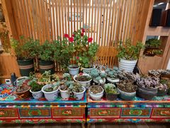 -四姑娘山阿巴郎·藏式花园餐厅