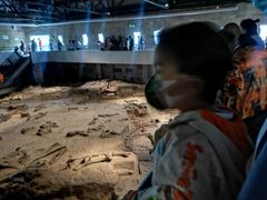 -自贡恐龙博物馆