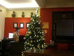 -Hoang Yen Vietnamese Cuisine