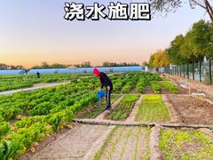 -瀛海足球主题公园