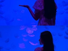 -沈阳海洋探索中心