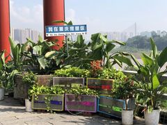 -磁器口古镇