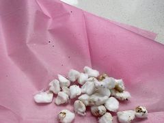 -北京观赏动物医院·24小时大型综合·猫专科·异宠专科