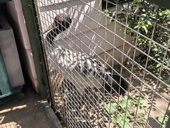 -青藏高原野生动物园