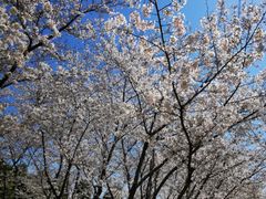-白塘生态植物园