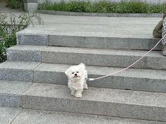 -纳吉亚猫专科动物医院·北北分院