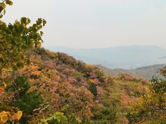 -北京西山国家森林公园