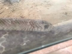 -荔城生鲜盛宴(番禺旗舰店)