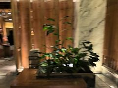 -浅深(北京北四环精品店)
