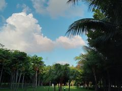 -深圳湾公园(南山区)