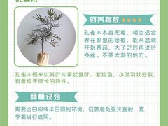 -研筑国际设计事务所(总店)