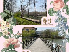 -溱湖国家湿地公园