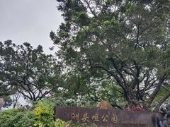 -洲头咀公园