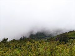 -大围山国家森林公园