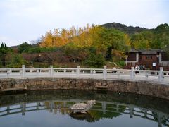 -白马涧龙池景区