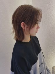 -IDOL-PLUS